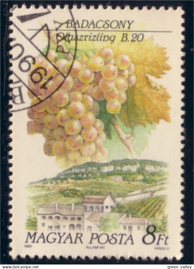 494 Hongrie Raisin Grape Vin Wein Vigne Wine (HON-95) - Vinos Y Alcoholes