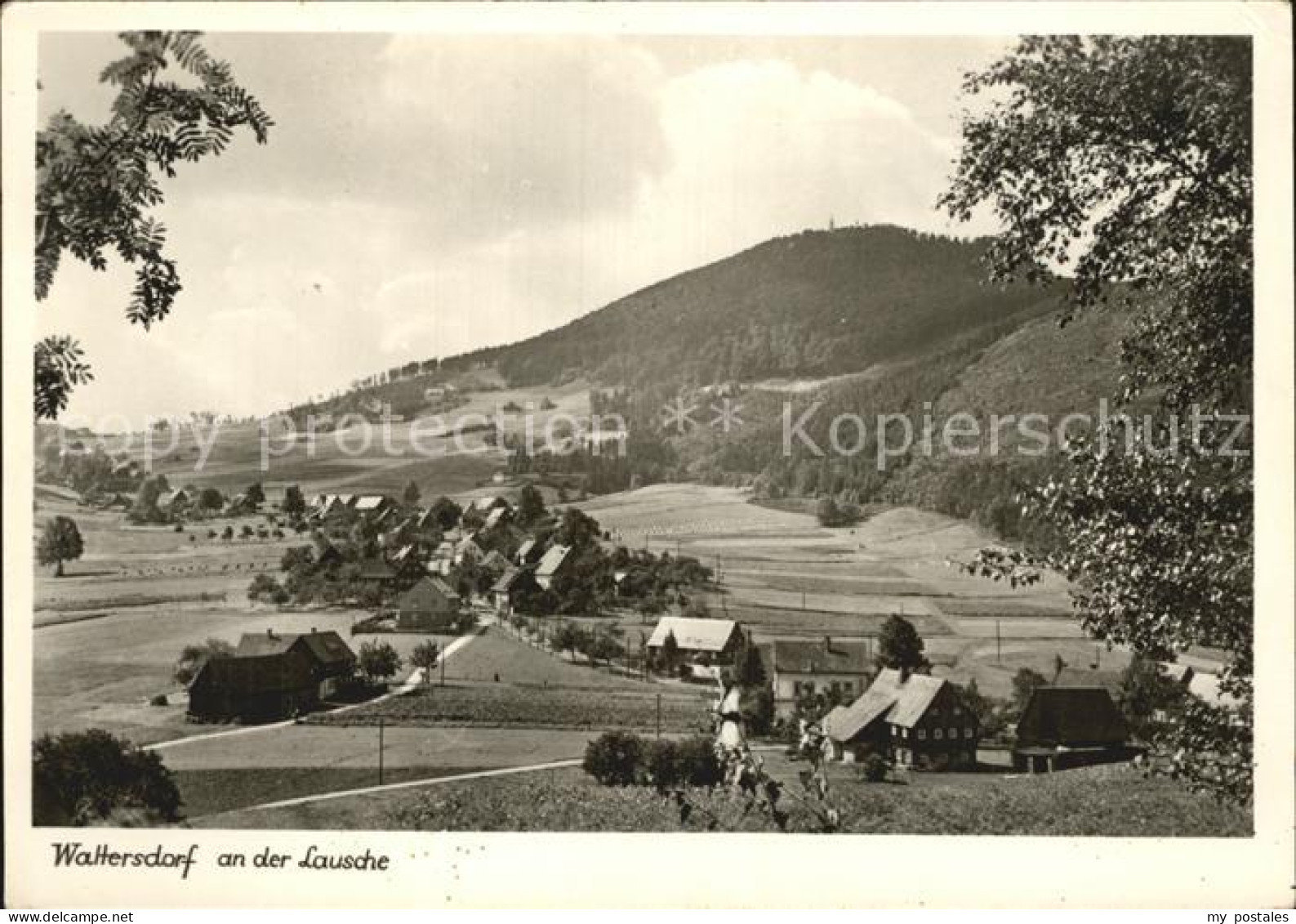 72386142 Waltersdorf Zittau Lausche Waltersdorf - Grossschoenau (Sachsen)