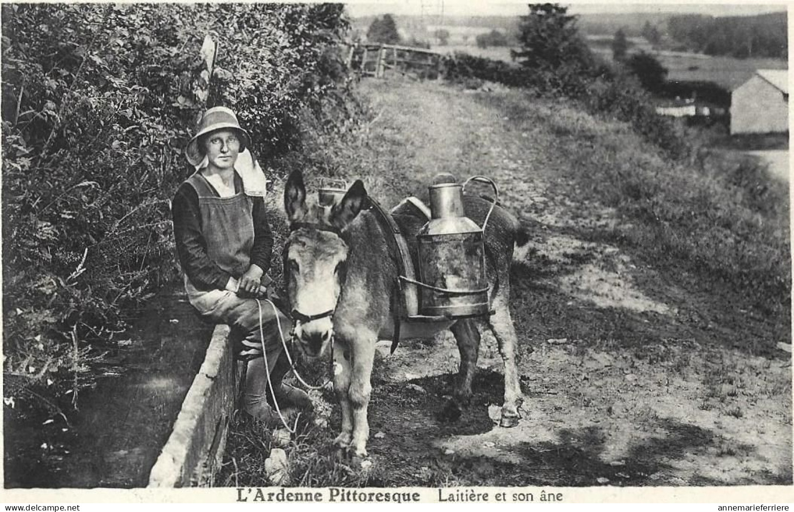 L'Ardenne Pittoresque Laitière Et Son âne - Vendedores Ambulantes