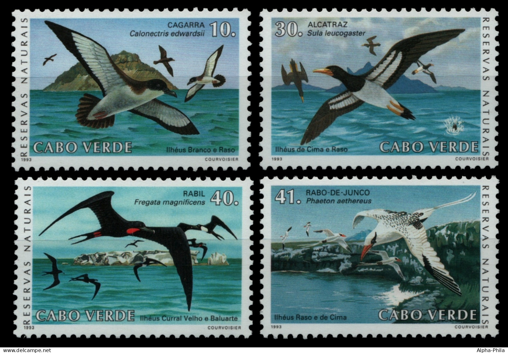 Kap Verde 1993 - Mi-Nr. 663-666 ** - MNH - Vögel / Birds - Kaapverdische Eilanden