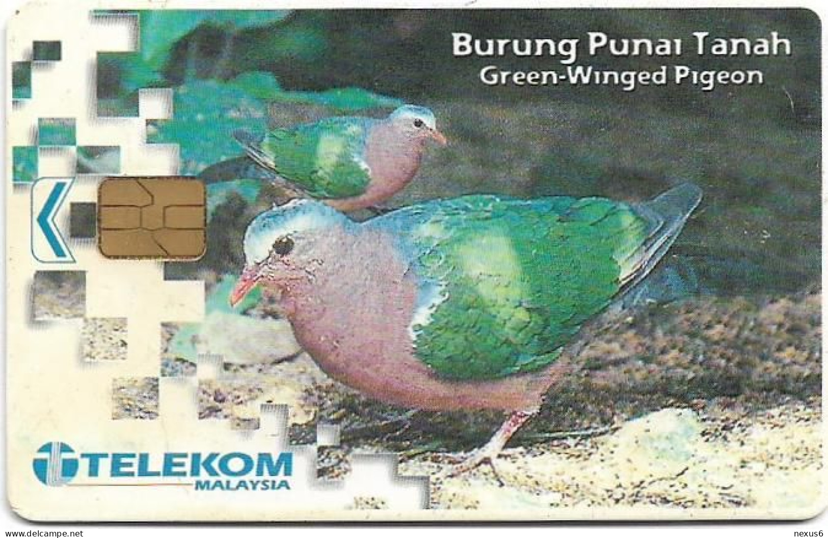 Malaysia - Telekom Malaysia (chip) - Birds - Burung Punai Tanah, Chip Siemens S5, 5RM, Used - Malasia