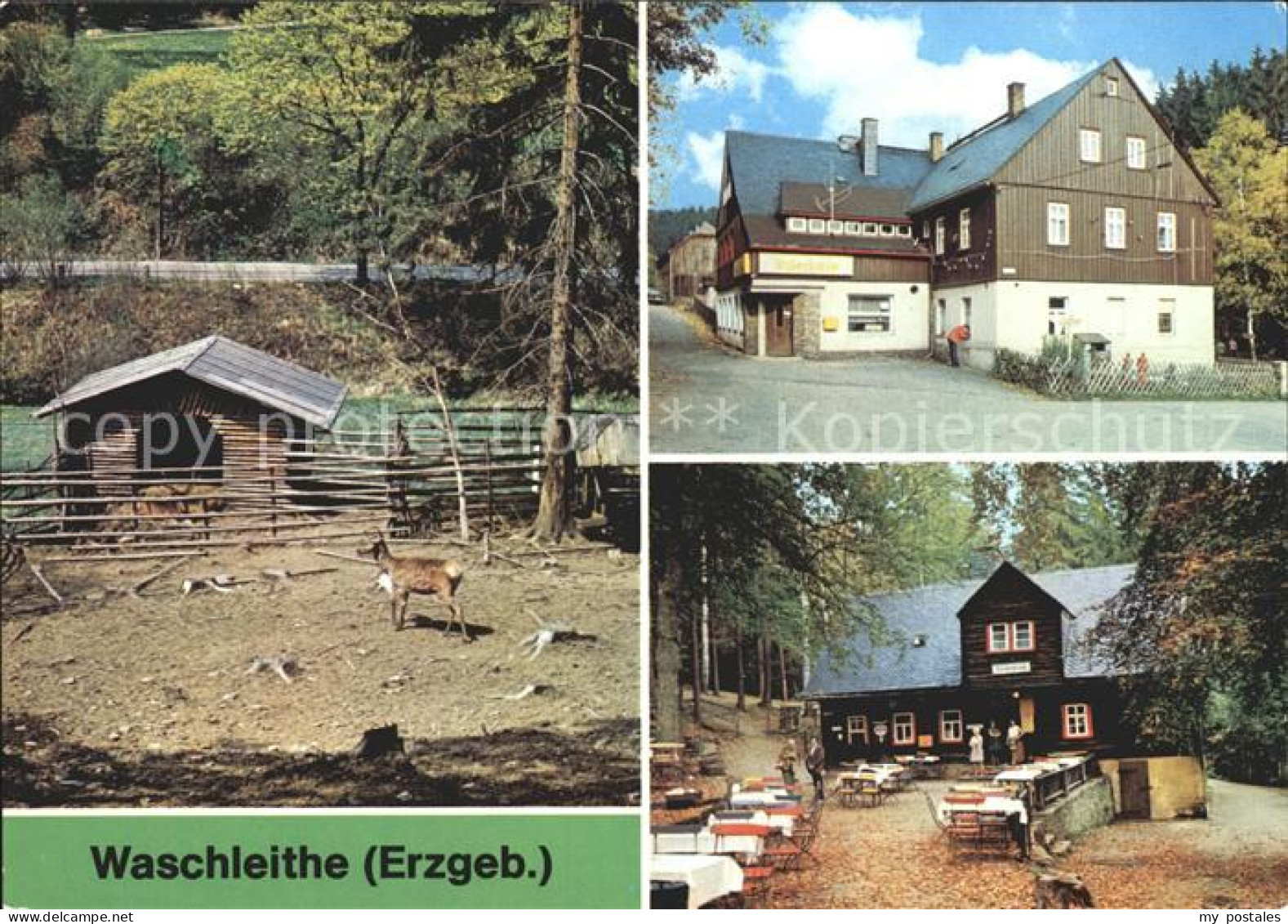 72378825 Waschleithe Tierpark Gaststaette Osterlamm Koehlerhuette  Beierfeld Erz - Gruenhain