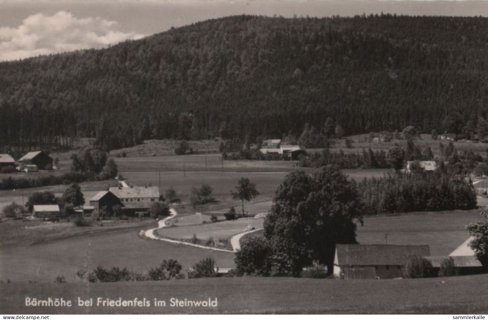 70602 - Friedenfels - Bärnhöhe Im Steinwald - Ca. 1960 - Tirschenreuth