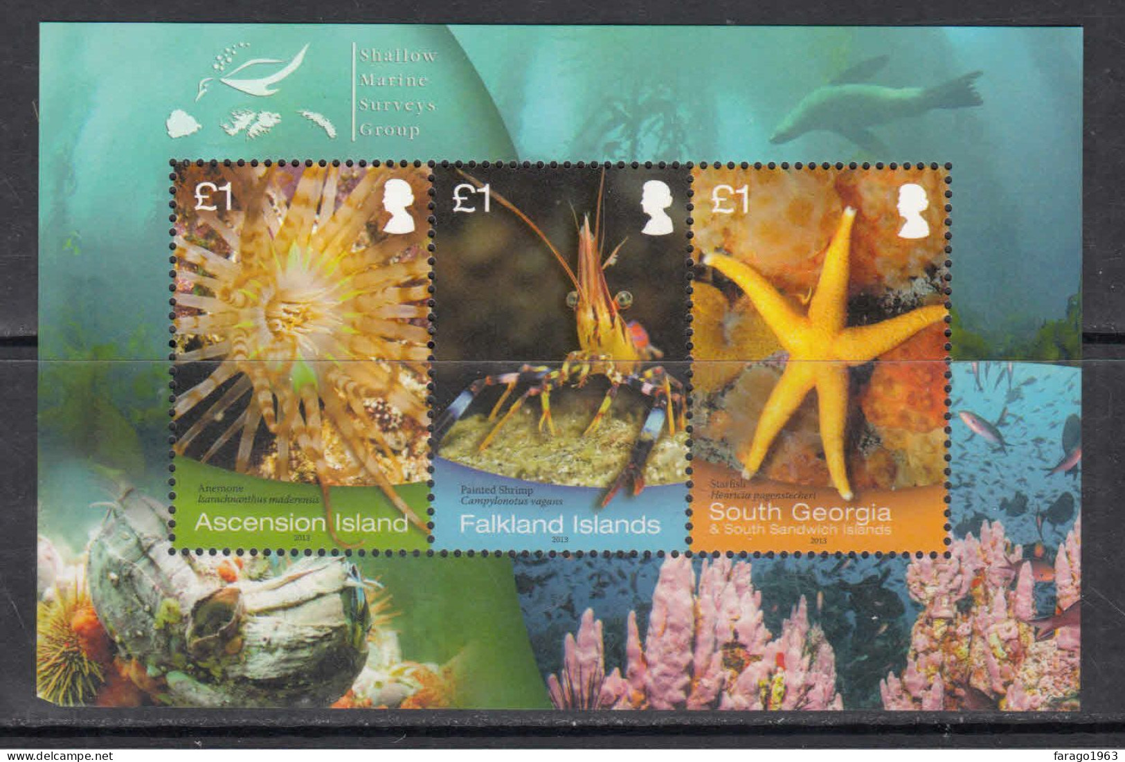 2013 Ascension Marine Life JOINT ISSUE Falkland South Georgia  Souvenir Sheet MNH - Ascension