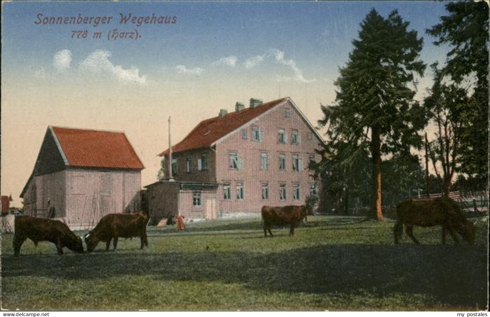 41078104 Sonnenberg Harz Wegehaus Sonnenberg Harz - St. Andreasberg