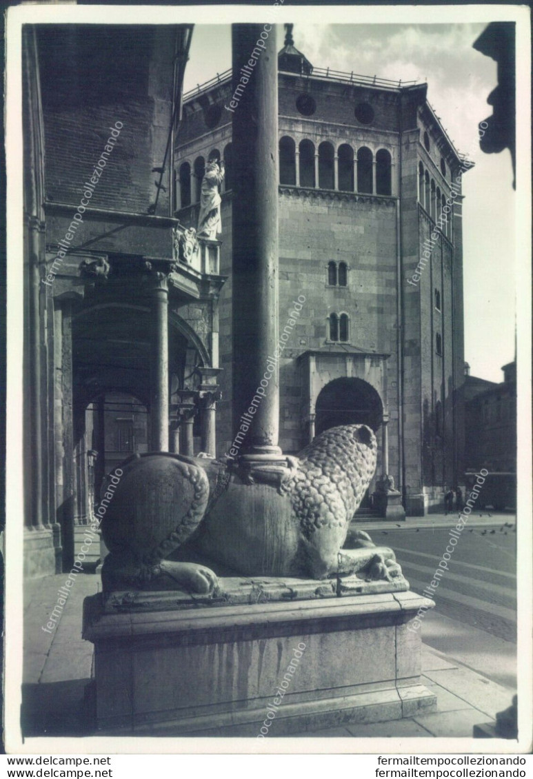 I658  Bozza Fotografica Cremona Citta'  Giardini E Galleria - Cremona