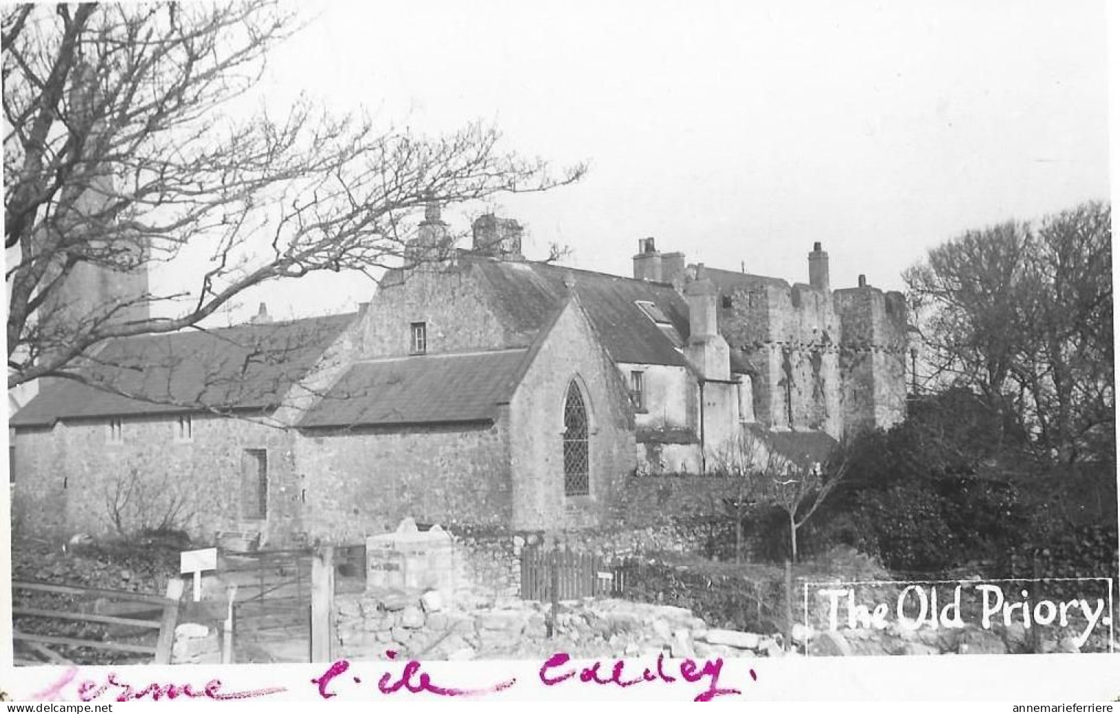 ISLANDE--île CALDEY ISLAND (FARM  FERME The Old Priory L'ancien Prieuré ) - IJsland