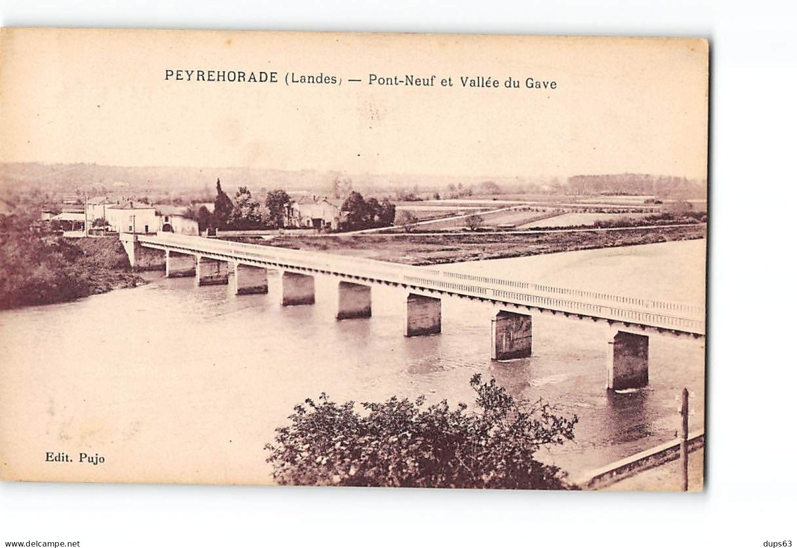 PEYREHORADE - Pont Neuf Et Vallée Du Gave - Très Bon état - Peyrehorade