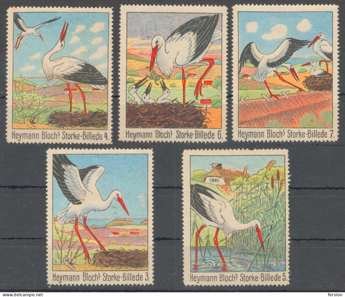 STORK STORKS Bird - Heymann Bloch - LABEL CINDERELLA VIGNETTE Denmark Andreasen Lachmann / Reed Lake - Storchenvögel