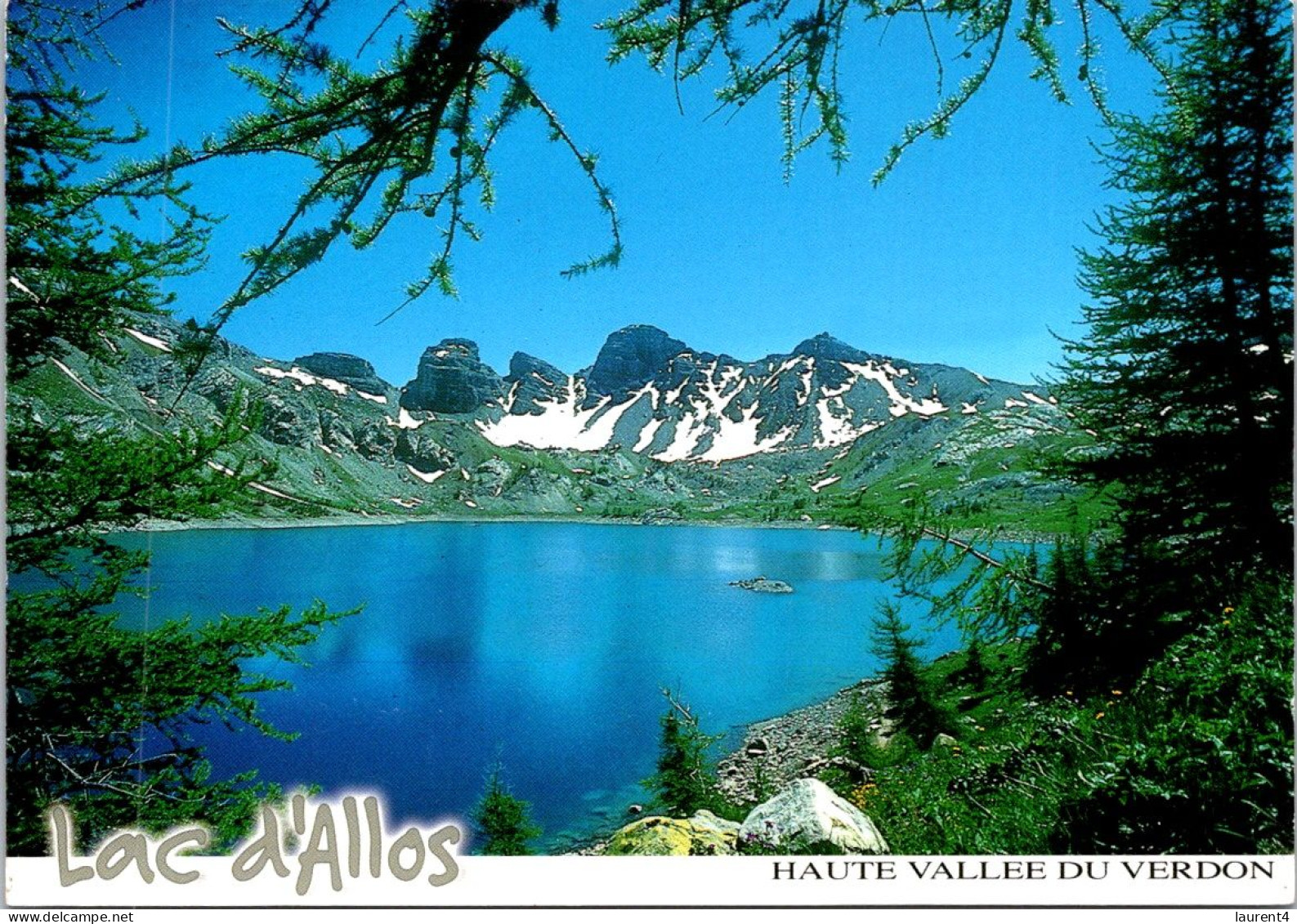 14-3-2024 (3 Y 1)  France  (posted 2010) - Lac D'Allos (lac Et Arbres) - Arbres