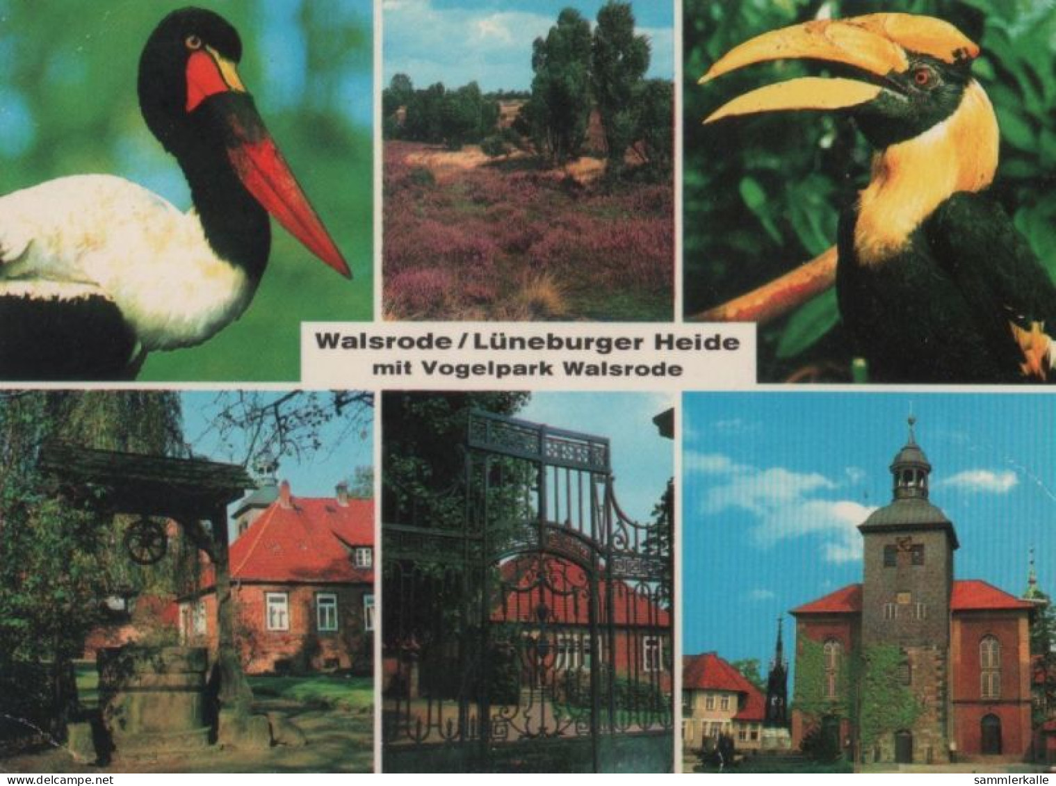 102610 - Walsrode - Vogelpark - Ca. 1985 - Walsrode