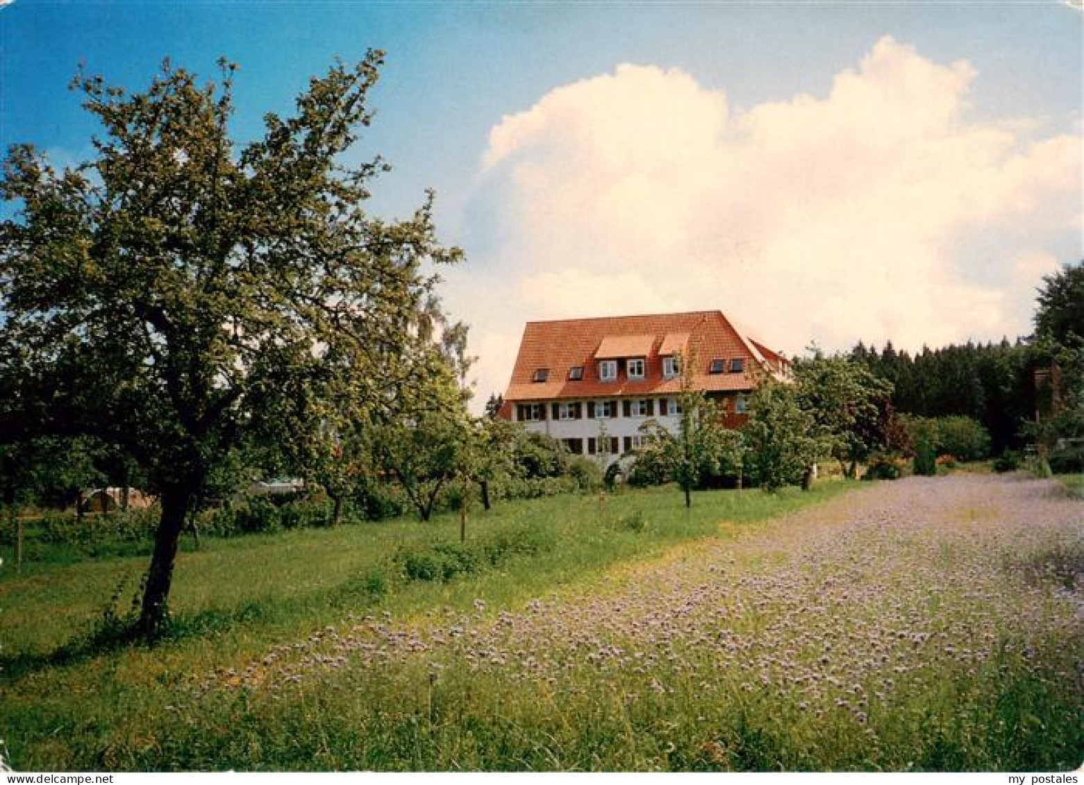 73924598 Moehringen_Tuttlingen Gaestehaus Lindenhof - Tuttlingen