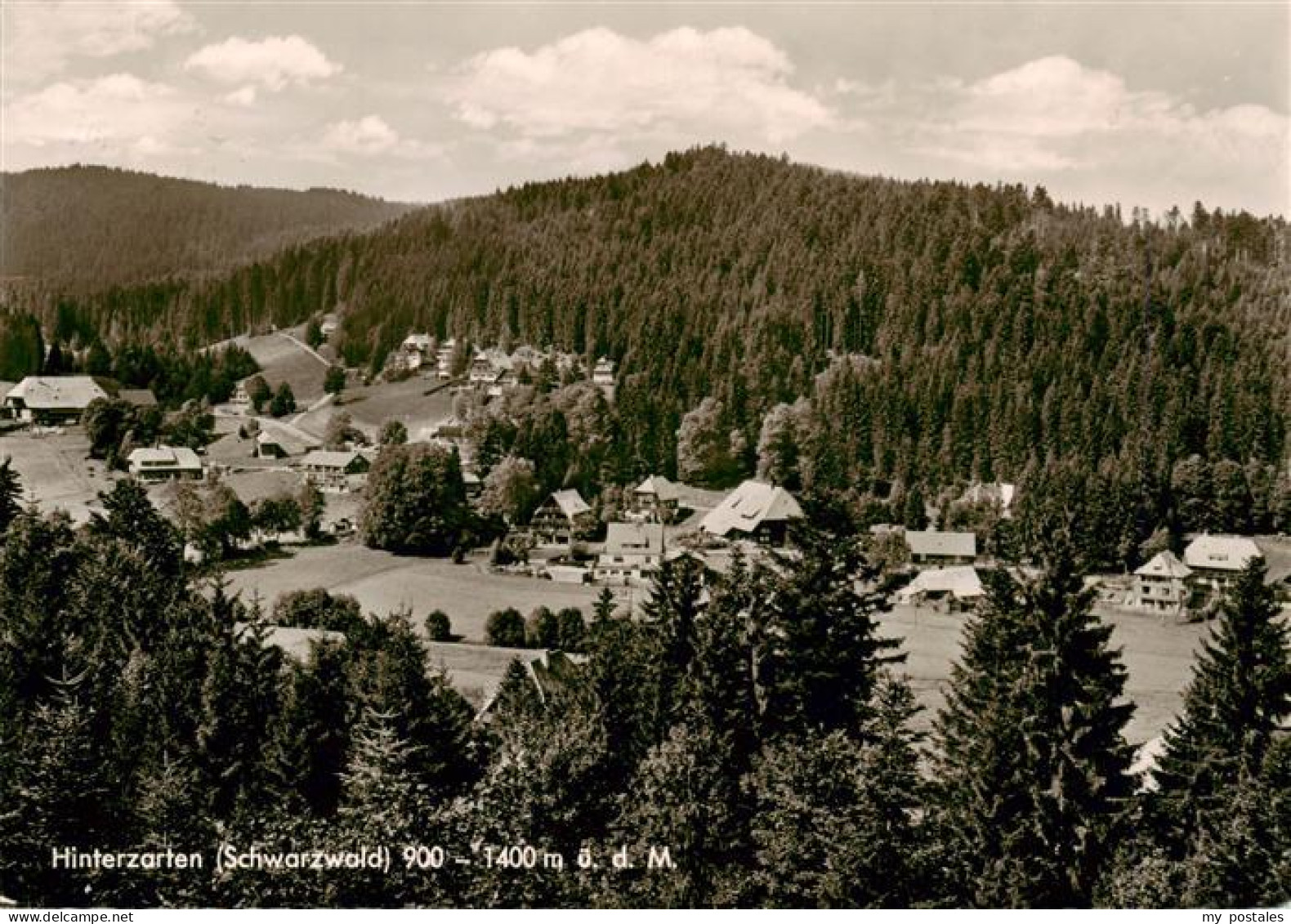 73924439 Hinterzarten Panorama - Hinterzarten