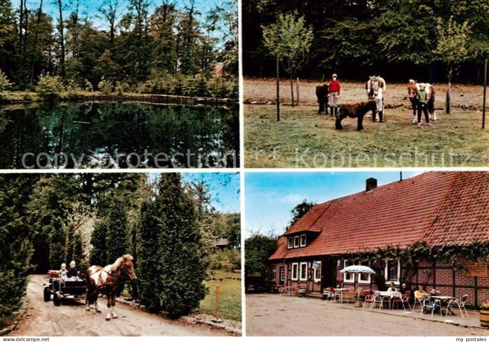 73848474 Harber Moor Urlaub Auf Dem Bauernhof Pension Willenbockel Ponyreiten Ku - Soltau