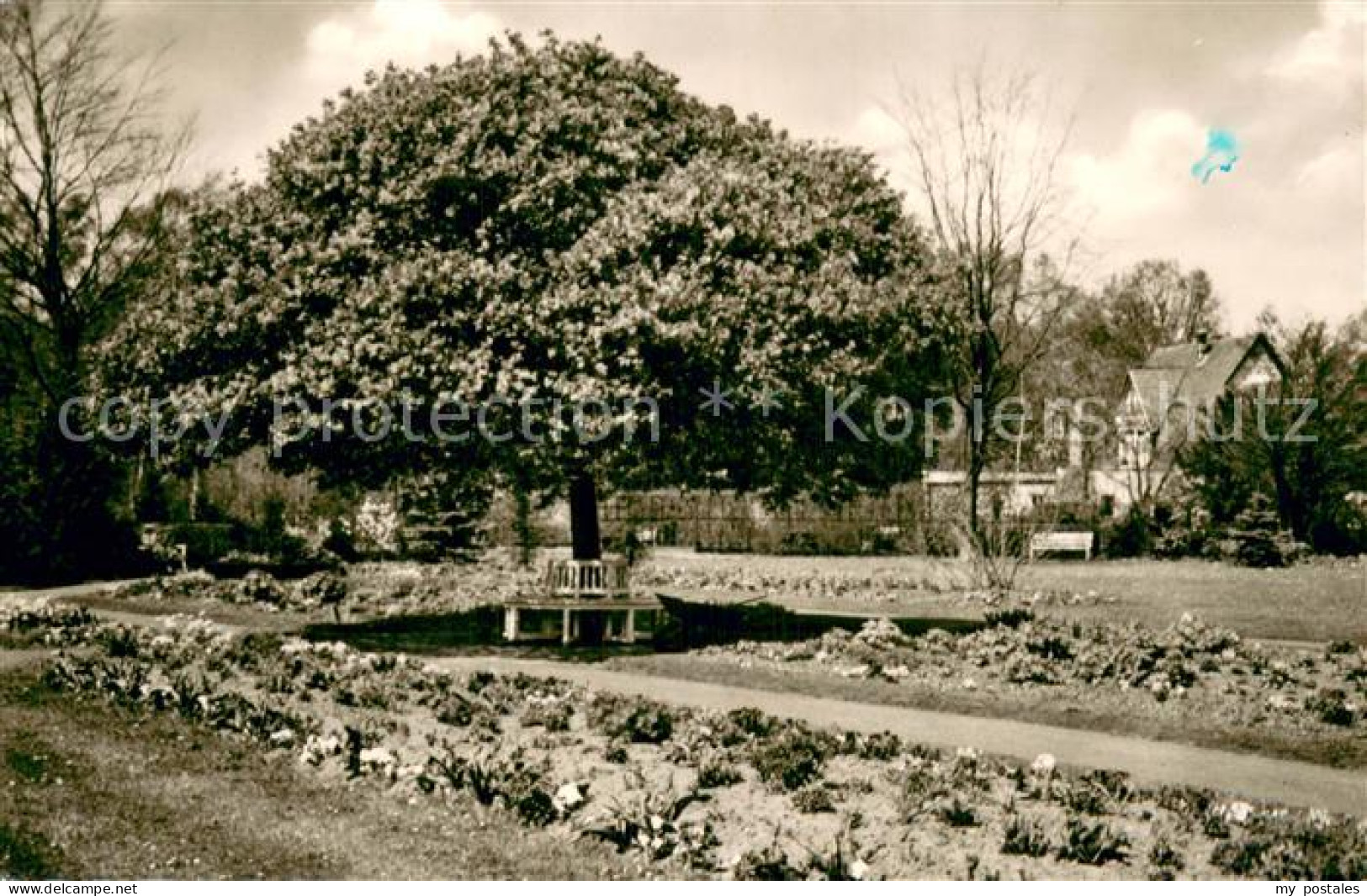 73777664 Guetersloh Botanischer Garten Guetersloh - Gütersloh