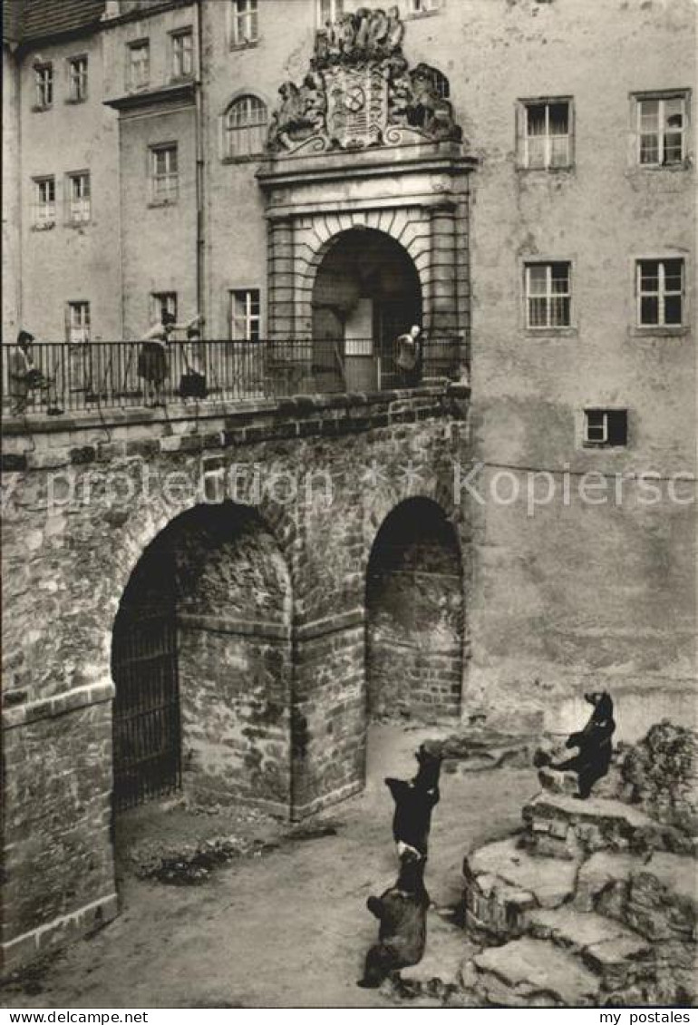 72377126 Torgau Baerenfreigehege Schloss Hartenfels Torgau - Torgau