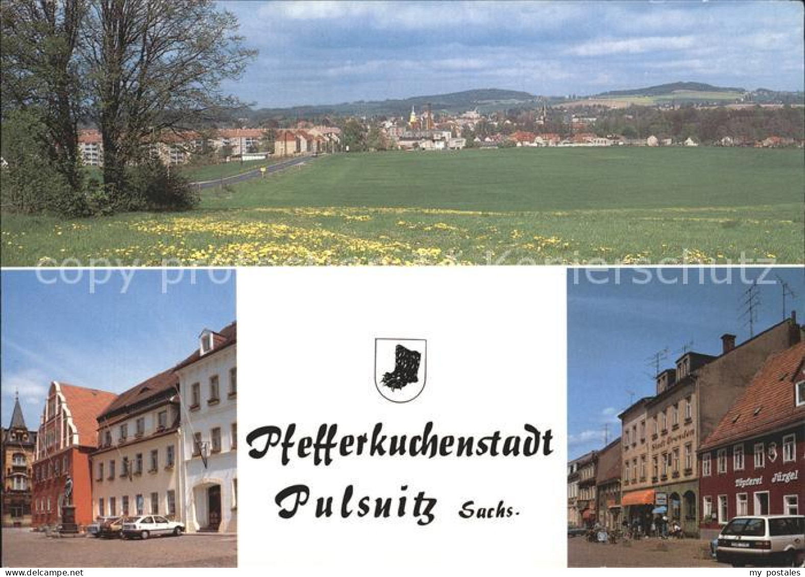 72373541 Pulsnitz Sachsen Pfefferkuchenstadt Eierberg Julius Kuehn Platz Rathaus - Pulsnitz