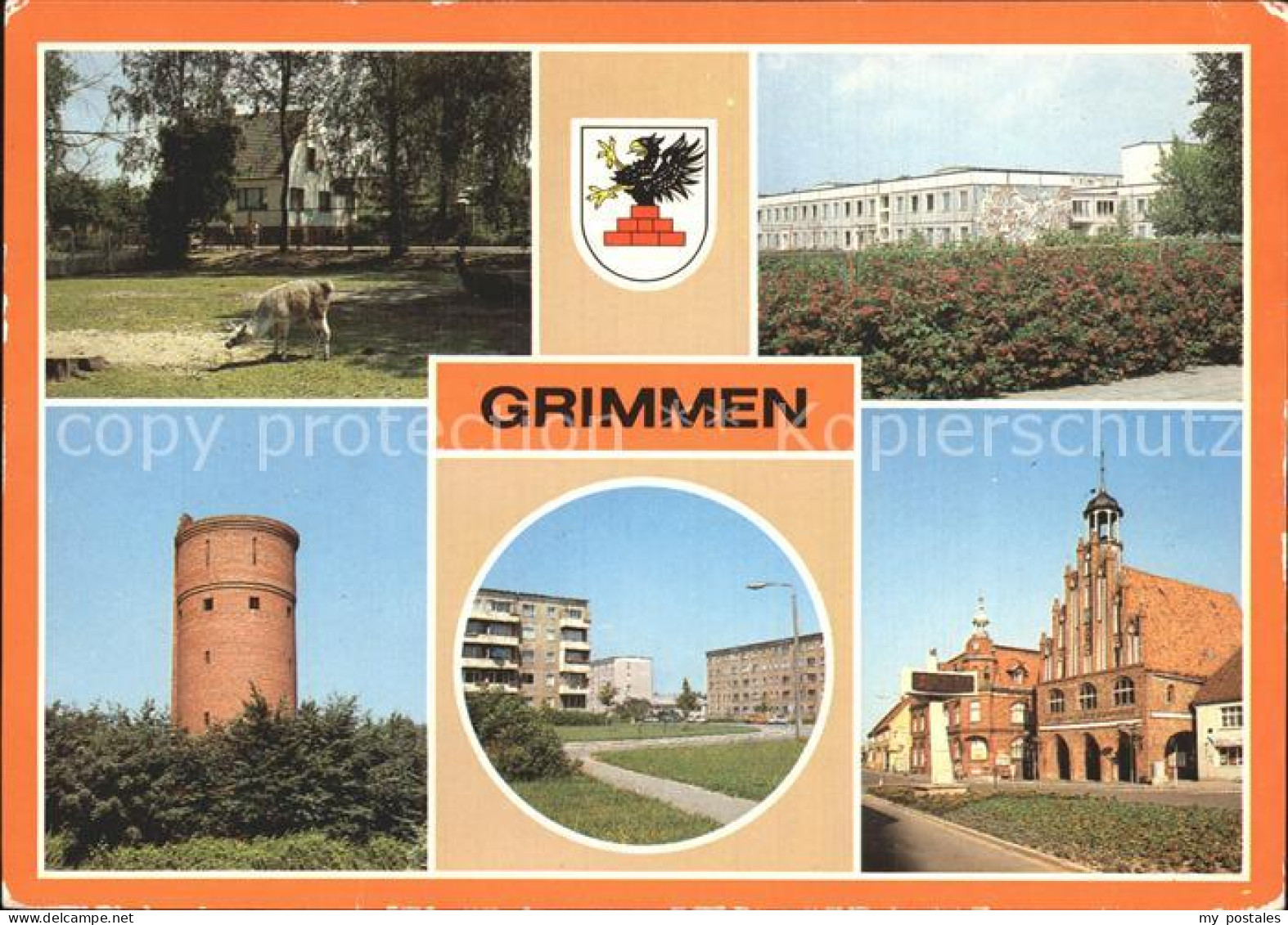 72373461 Grimmen Wasserturm Heimattierpark Junges Lama Grimmen - Grimmen