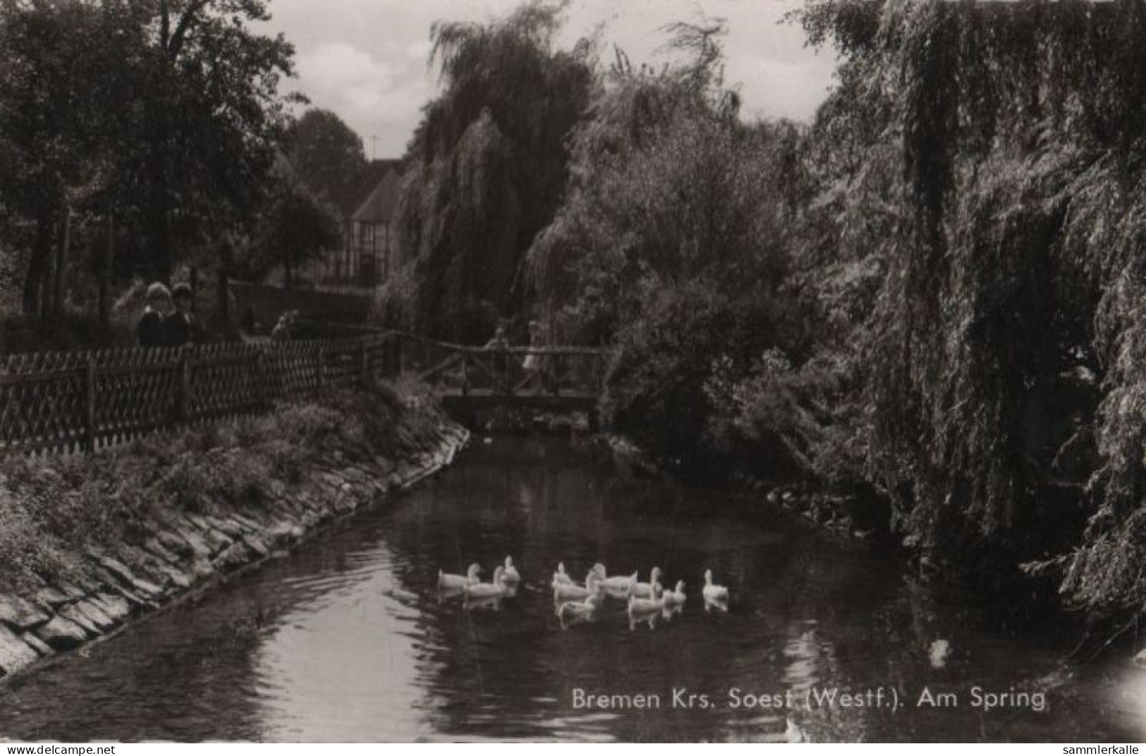 54113 - Ense-Bremen - Am Spring - 1963 - Soest