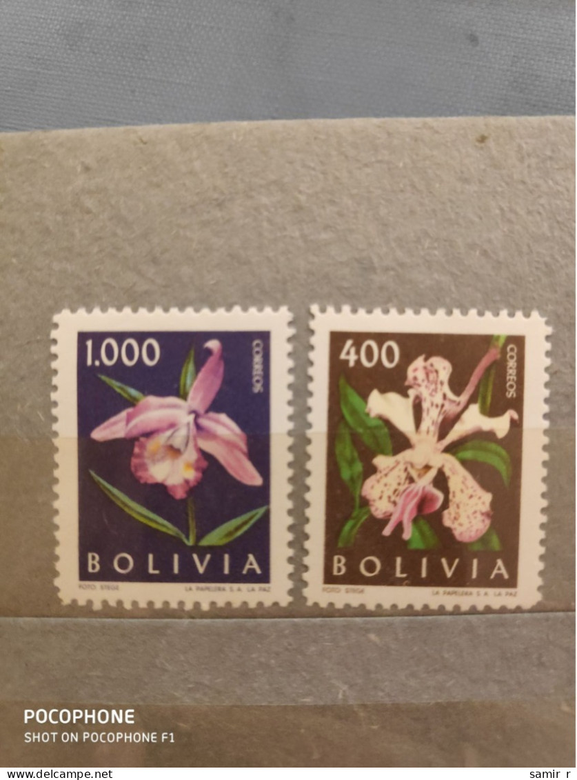 Bolivia Flowers Orhids (F82) - Bolivie