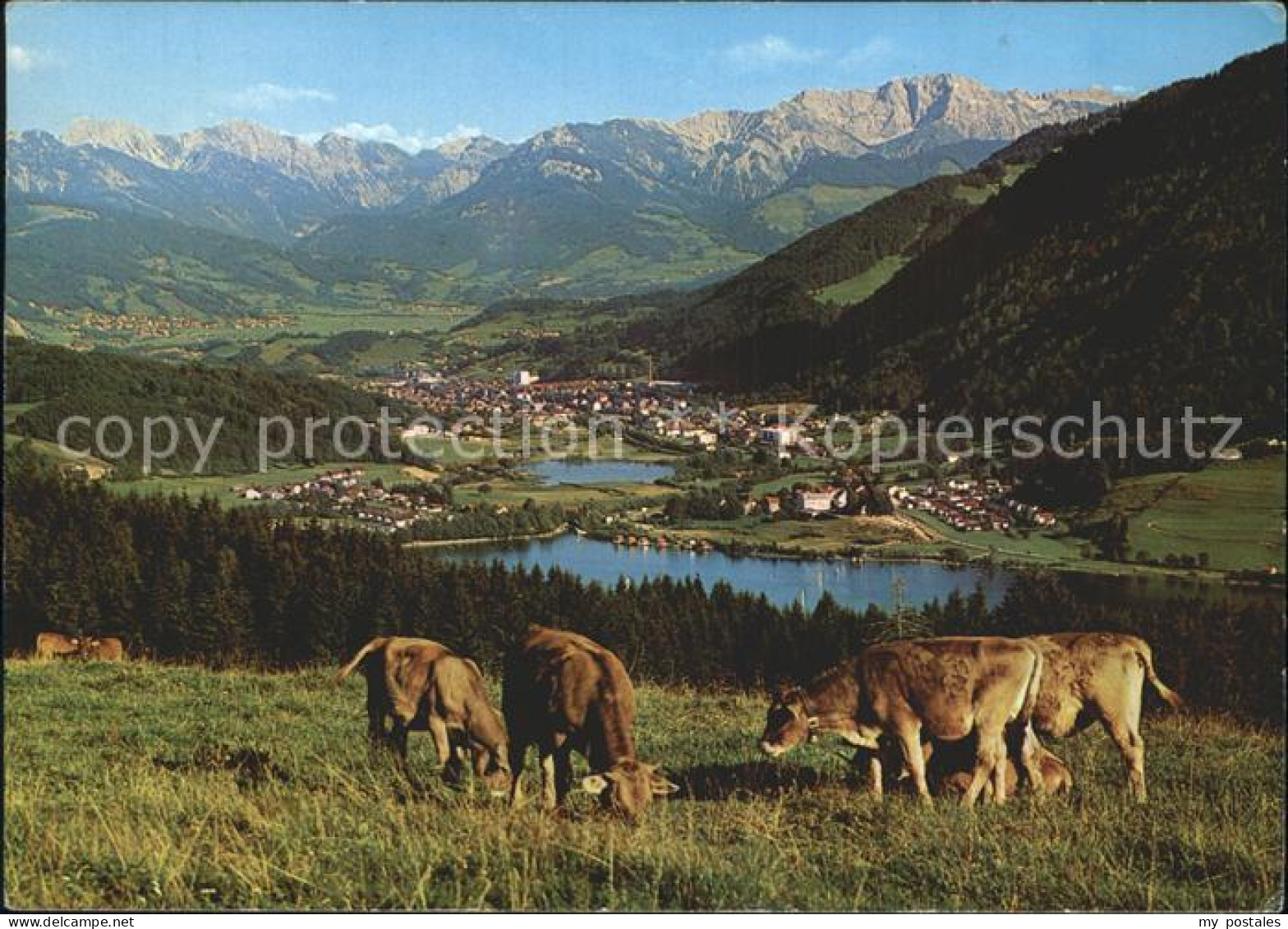 72372678 Buehl Alpsee Grosser Kleiner Alpsee Hintersteiner Berge Daumen  Buehl - Immenstadt