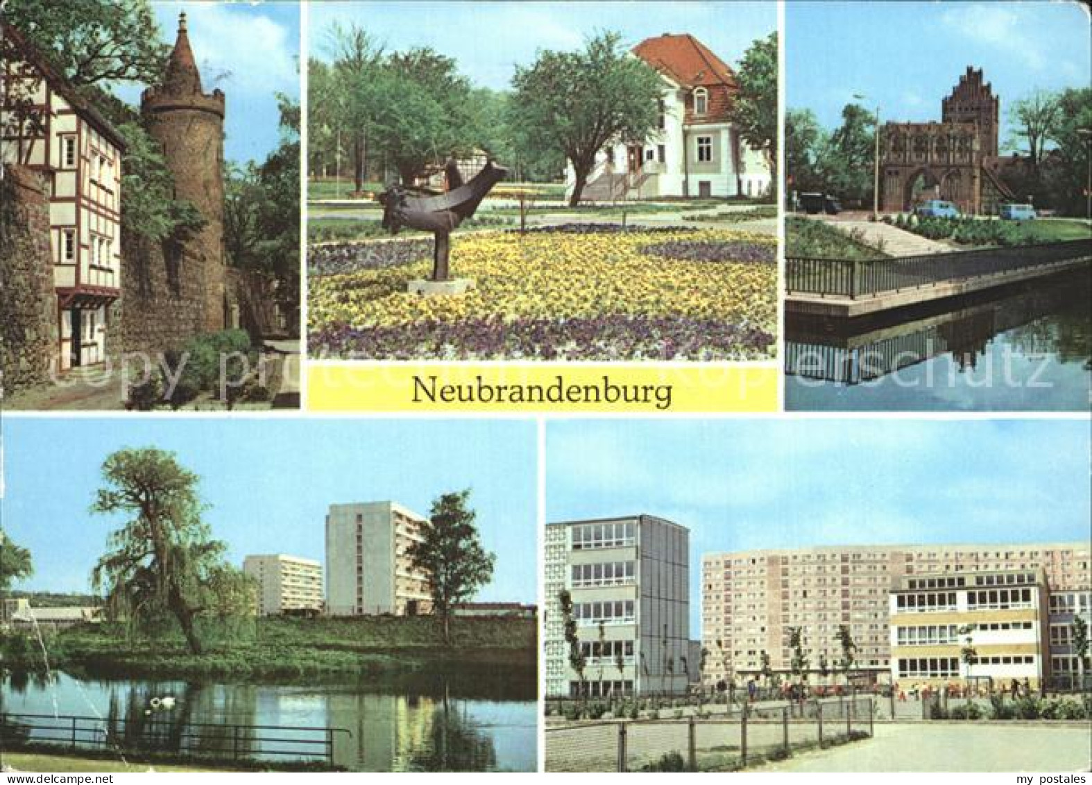 72372296 Neubrandenburg Wiekhaus Moenchenturm Stadtpark Treptower Tor Schwanente - Neubrandenburg