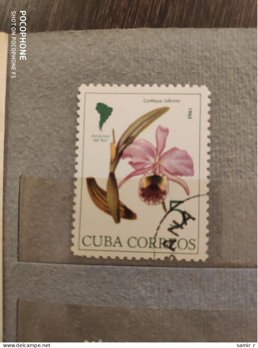 1965	Cuba Flowers Orchids (F82) - Usados