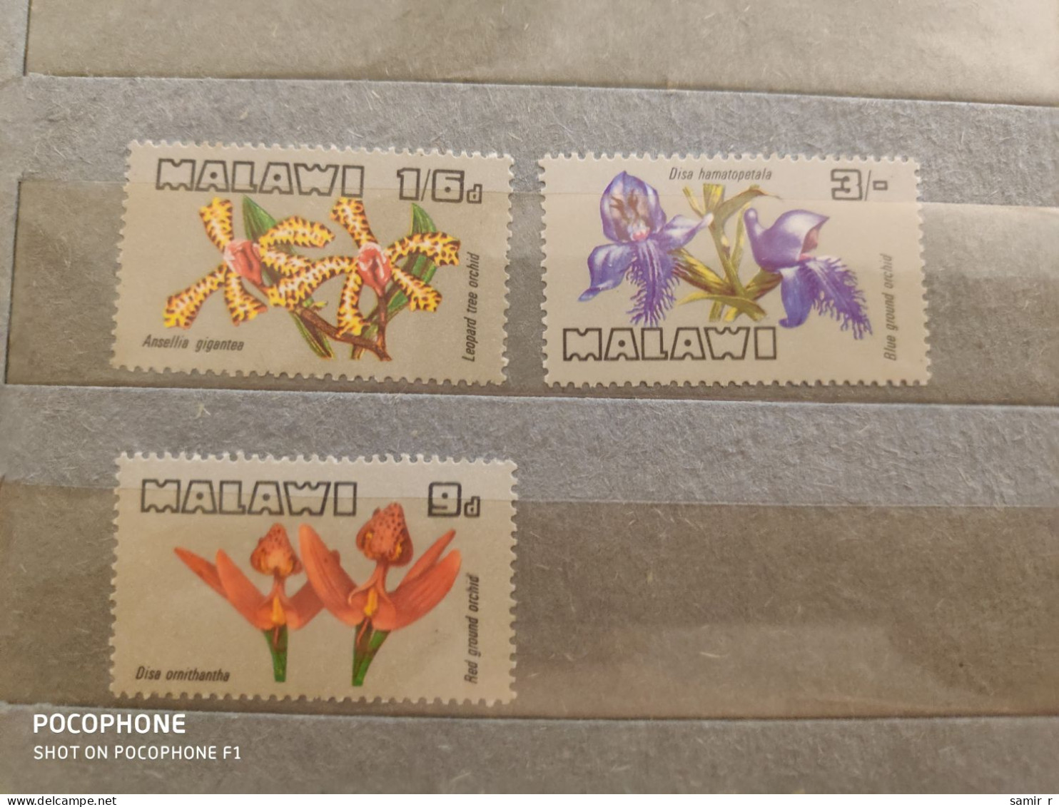 Malawi Flowers (F82) - Malawi (1964-...)