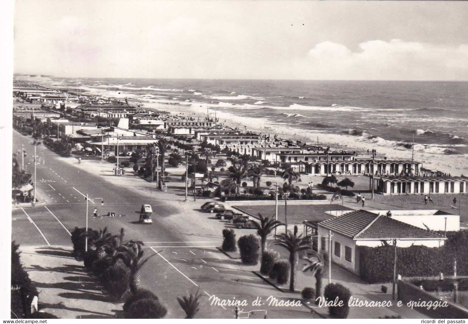 Cartolina Marina Di Massa ( Massa E Carrara ) Viale Litoraneo E Spiaggia - Massa