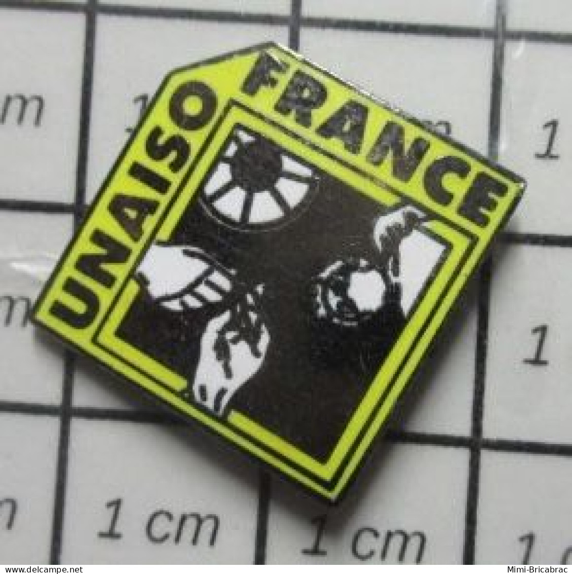 1616B Pin's Pins / Rare Et De Belle Qualité / MEDICAL / UNAISO FRANCE OPERATION CHIRURGICALE - Geneeskunde