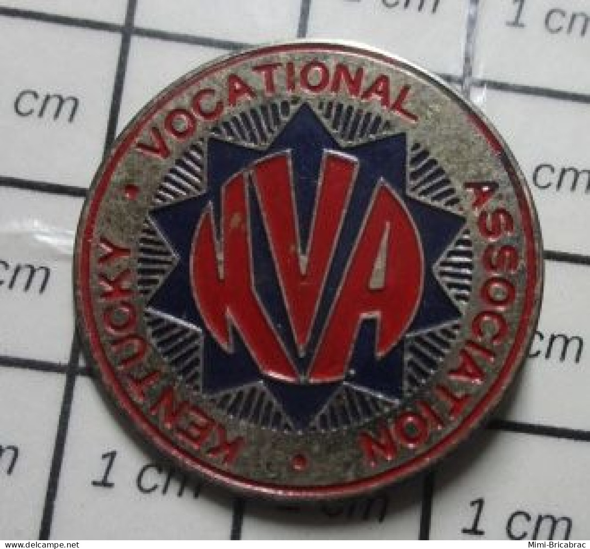 1616B Pin's Pins / Rare Et De Belle Qualité / ASSOCIATIONS / Pin's USA KVA KENTUCKY VOCATIONAL ASSOCIATION - Associations