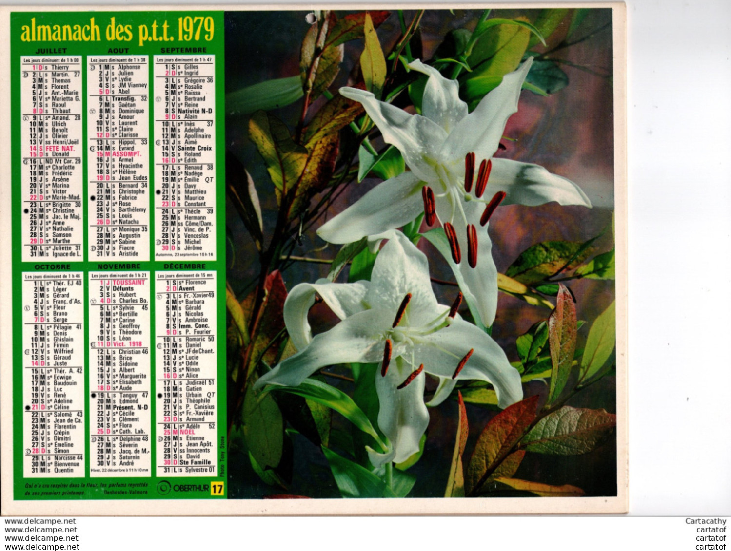 Almanach Des P.T.T.  PAS DE CALAIS 1979 .  ROSE + FLEURS - Tamaño Grande : 1971-80