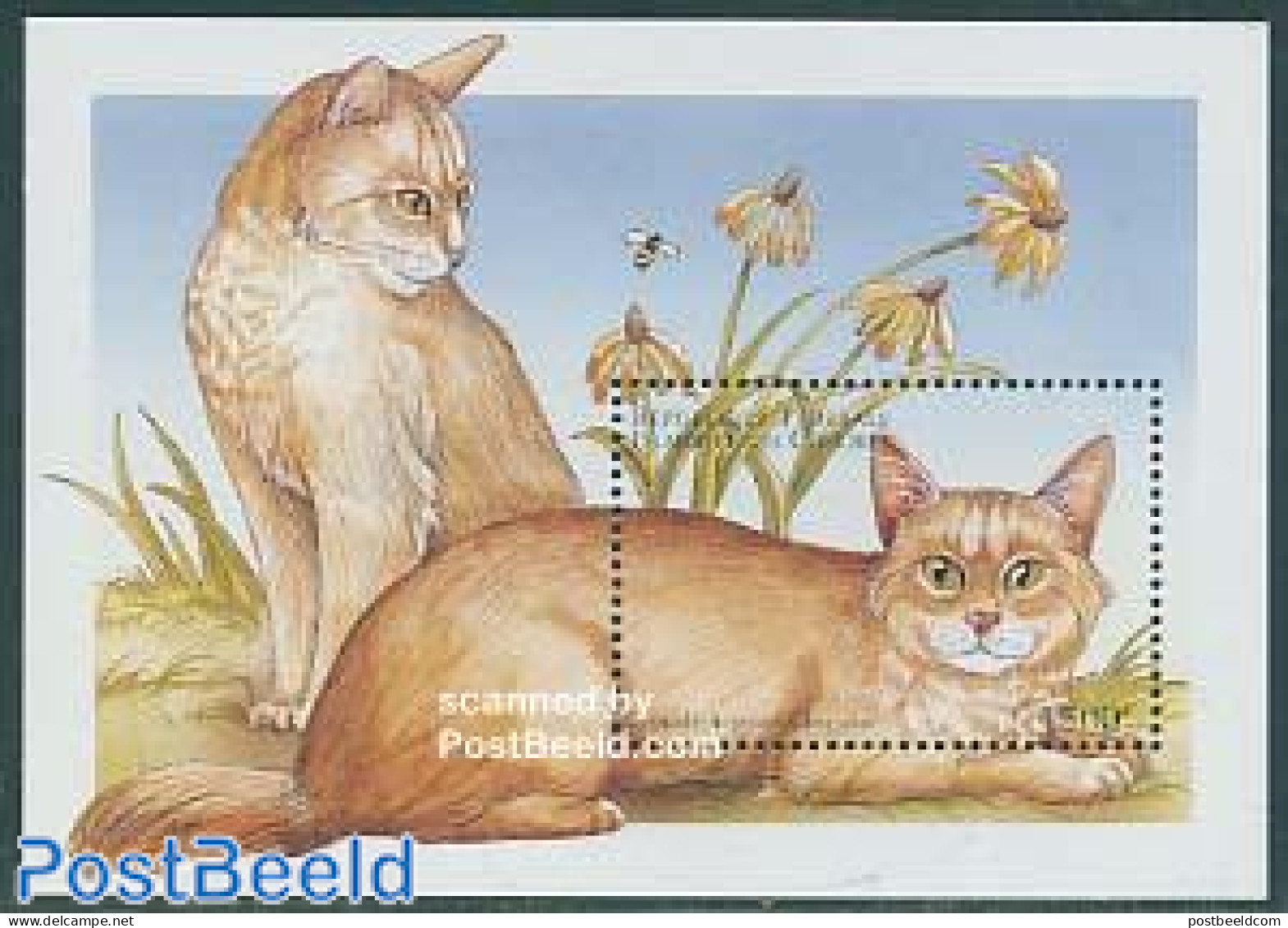 Comoros 1998 Cats S/s, Somali Silver/chocolate, Mint NH, Nature - Cats - Comores (1975-...)