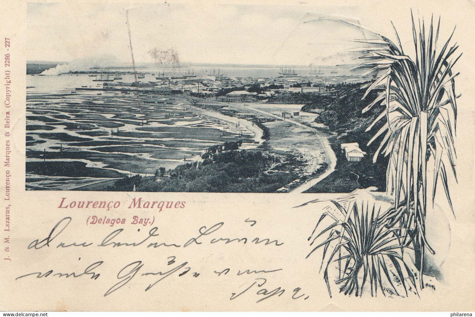 Mocambique 1905: Post Card Lourenco Marques, Tax To Hamburg - Mosambik