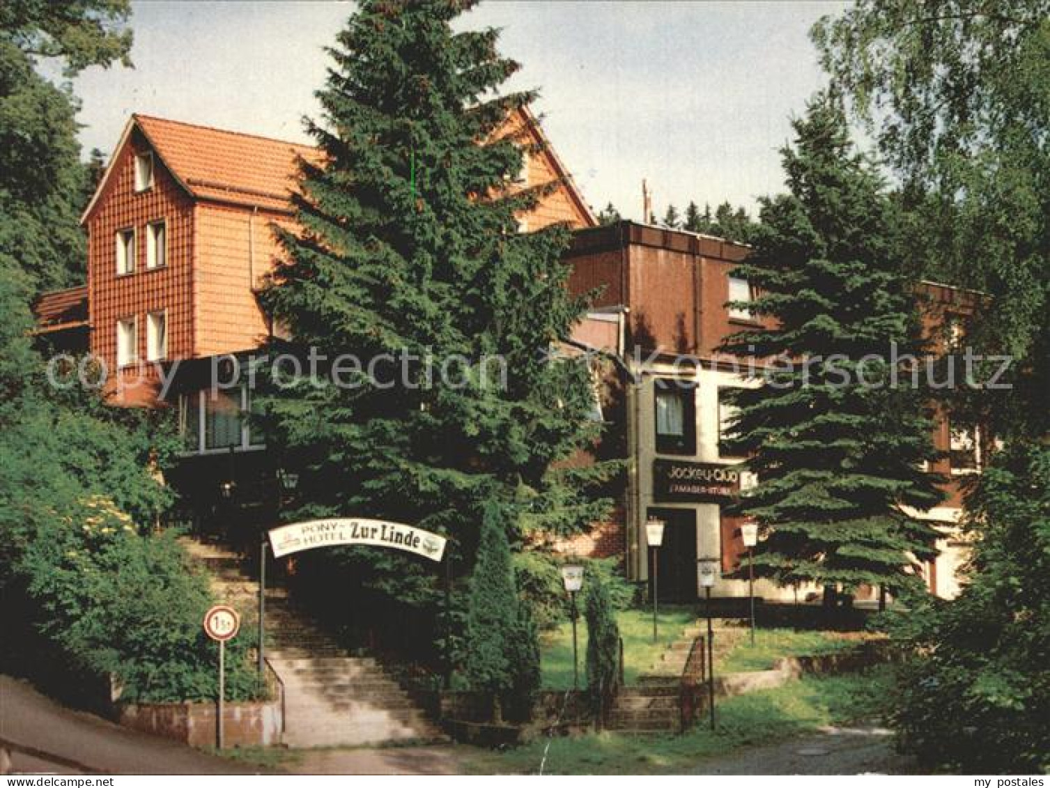 72325776 Osterode Harz Pony- Hotel Zur Linde Osterode - Osterode
