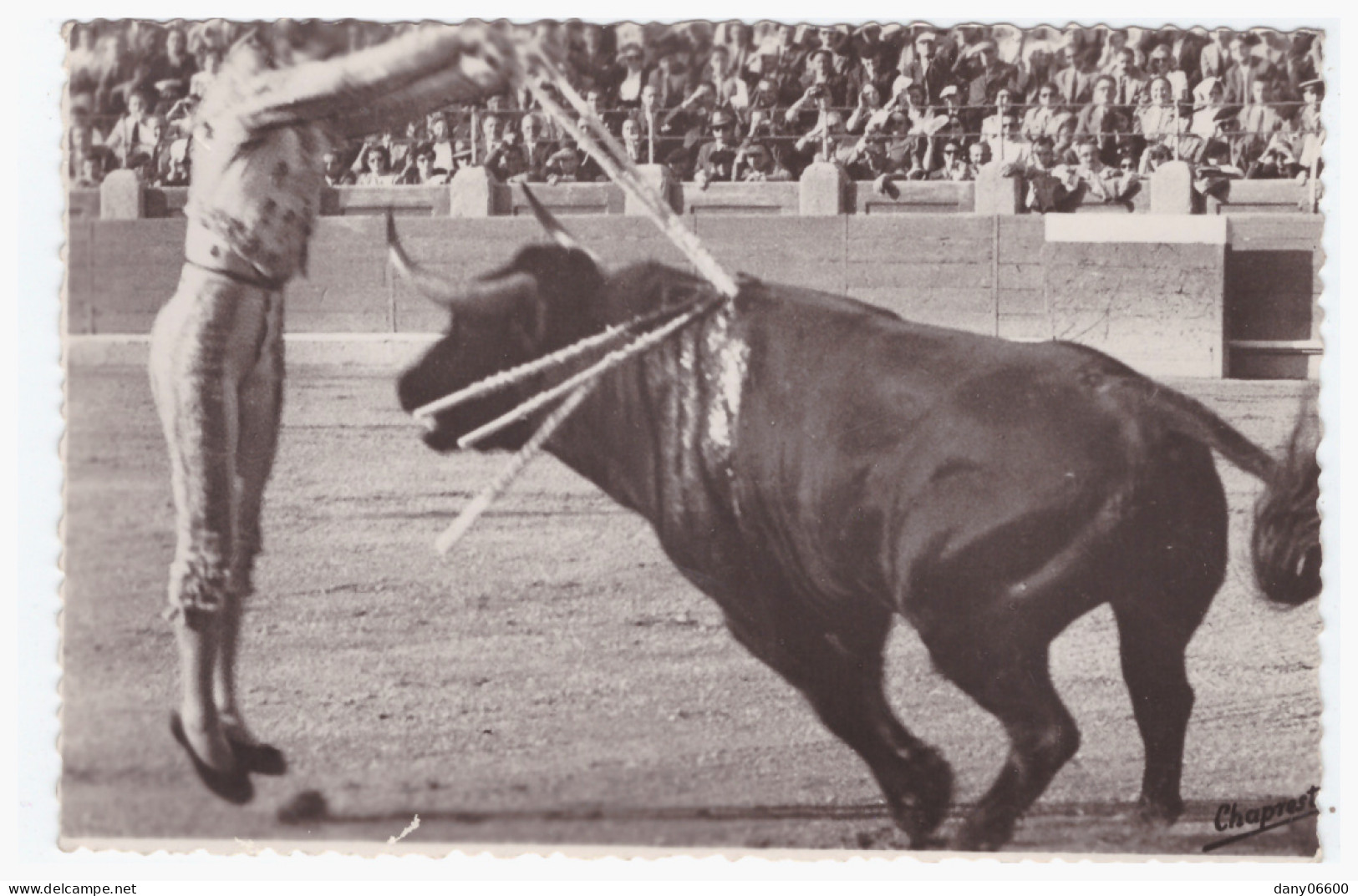 MAGNIFIQUE PAIRE DE BANDERILLES (carte Photo Animée) - Corridas