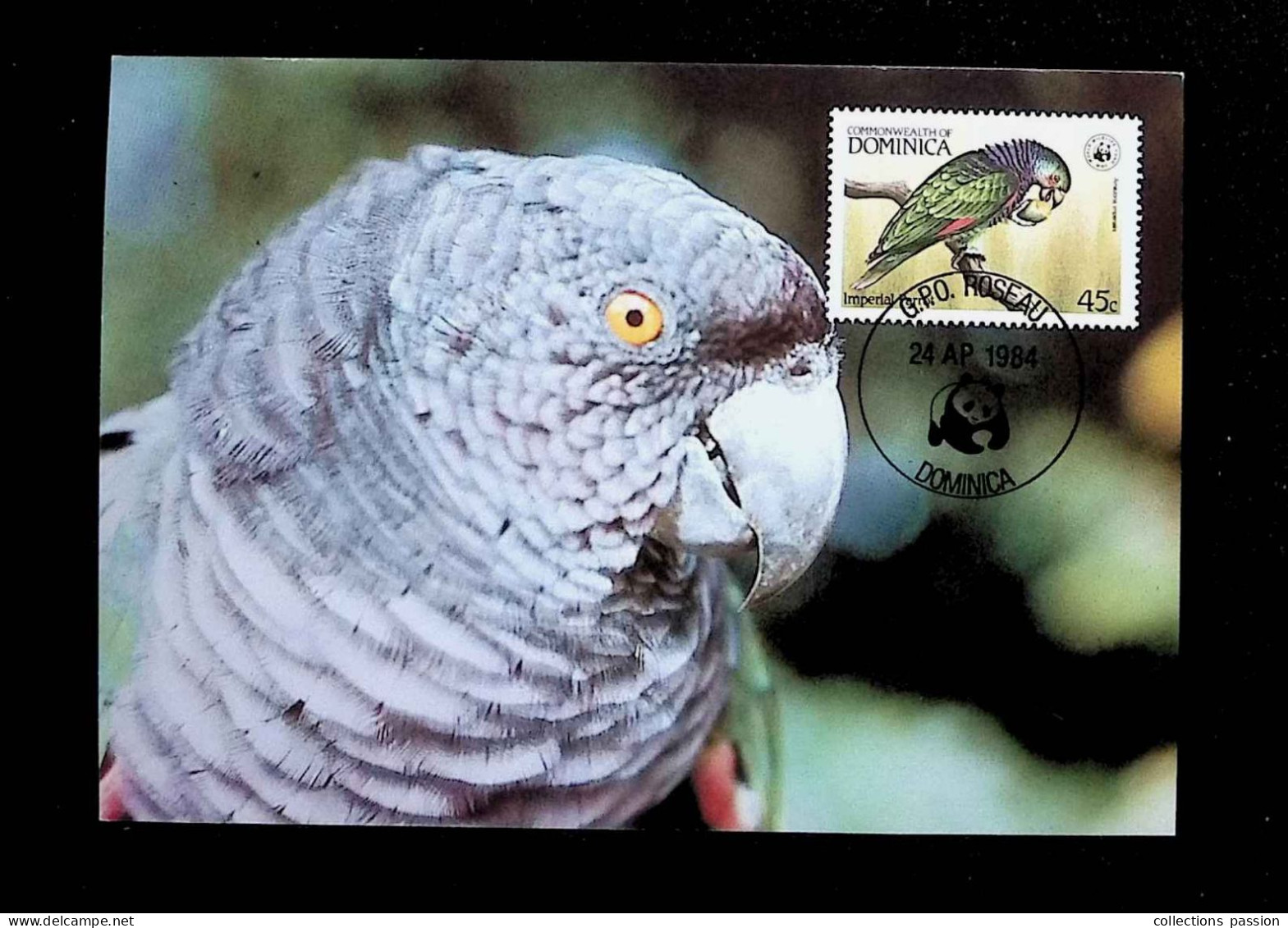 CL, Carte Maximum, Maximum Card, Dominica, G.P.O. Roseau, 24 Ap- 1984, Perroquet, Imperial Parrot - Dominica (1978-...)