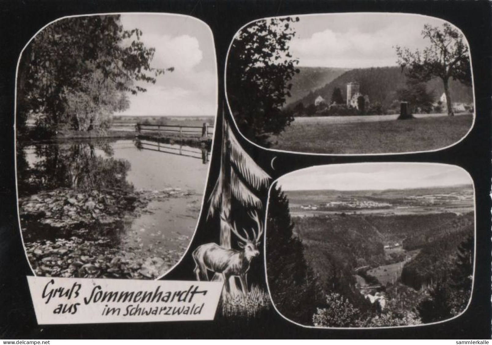 67170 - Bad Teinach-Zavelstein, Sommenhardt - 3 Teilbilder - 1965 - Bad Teinach