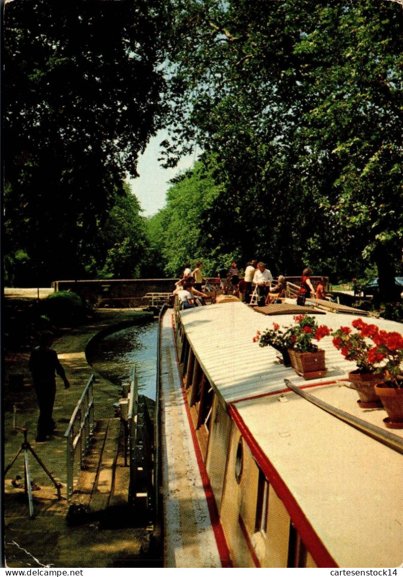 N°41873 Z -cpsm Péniche "le Haricot Noir" Dans Le Canal Du Midi - Péniches