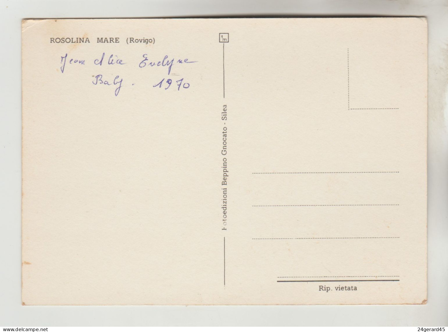 CPSM ROSOLINA (Italie-Vénétie-Rovigo) - ROSAPINETA VILLAGIO SUD : 4 Vues - Rovigo