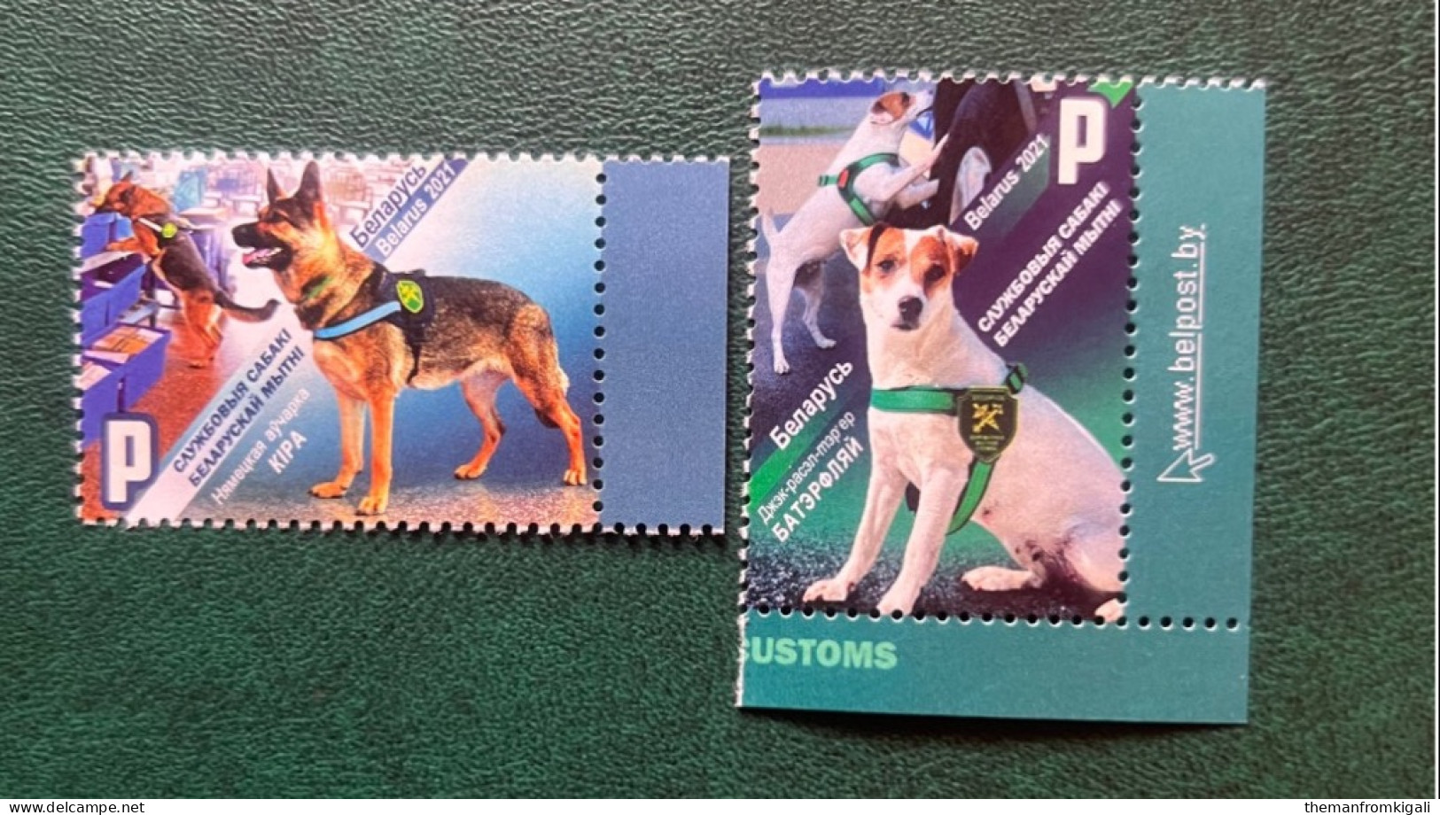 Belarus 2021 - Service Dogs Of Belarus Customs. - Belarus