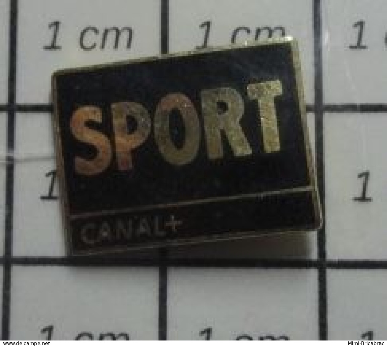 1616c  Pin's Pins / Beau Et Rare / MEDIAS / CHAINE TELE CANAL + SPORT - Médias