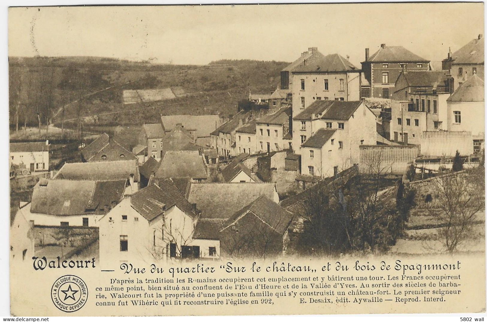 WALCOURT : Vue Du Quartier "Sur Le Château" Et Du Bois De Spagnmont - 1911 - Walcourt