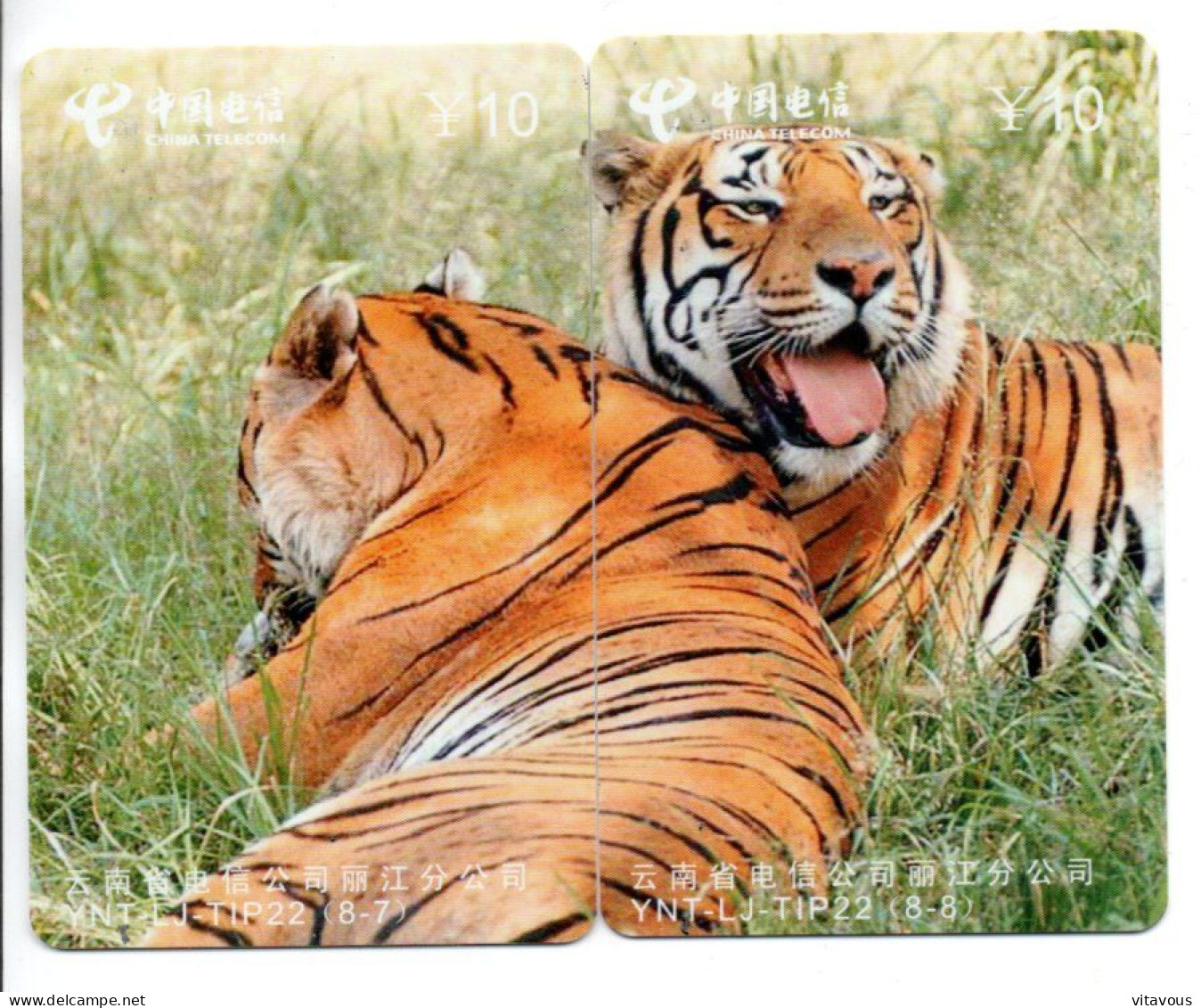 Tigre Leo Félin Animal  PUZZLE CHINE  - 2 Télécartes Phonecard ( K03) - China