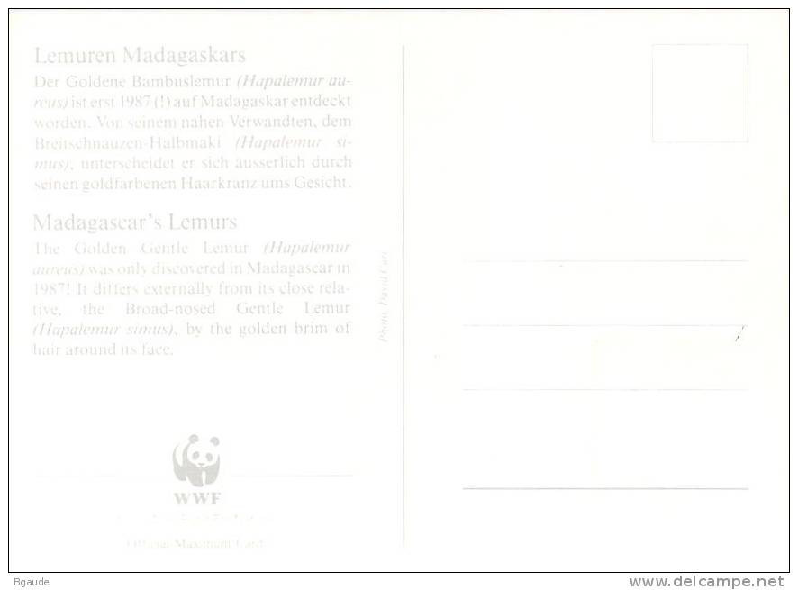 MADAGASCAR  WWF CARTE MAXIMUM NUM.YVERT  841  PROTECTION DE LA NATURE  LEMURIEN - Maximum Cards