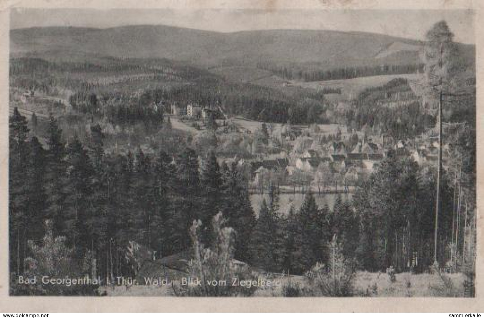 16576 - Bad Georgenthal Vom Ziegelberg - 1959 - Georgenthal