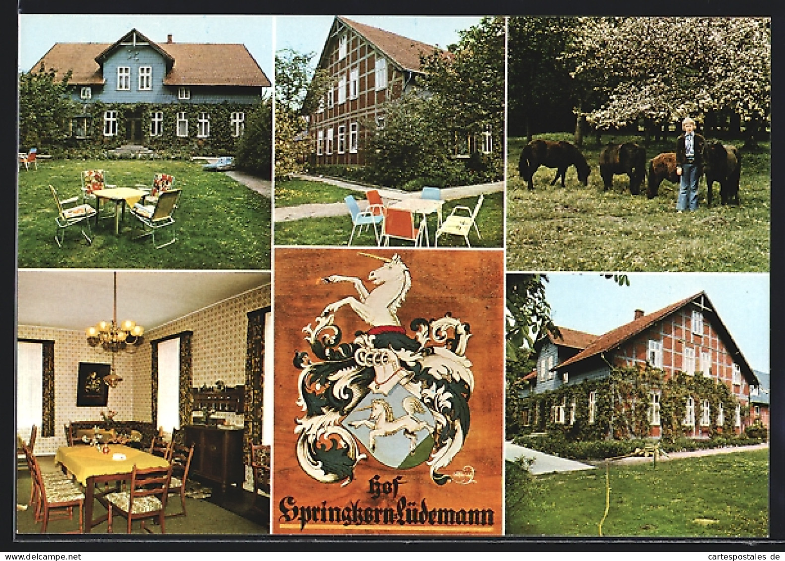 AK Soltau-Frielingen, Hof Springhorn, Inh. Fam. Lüdemann  - Soltau