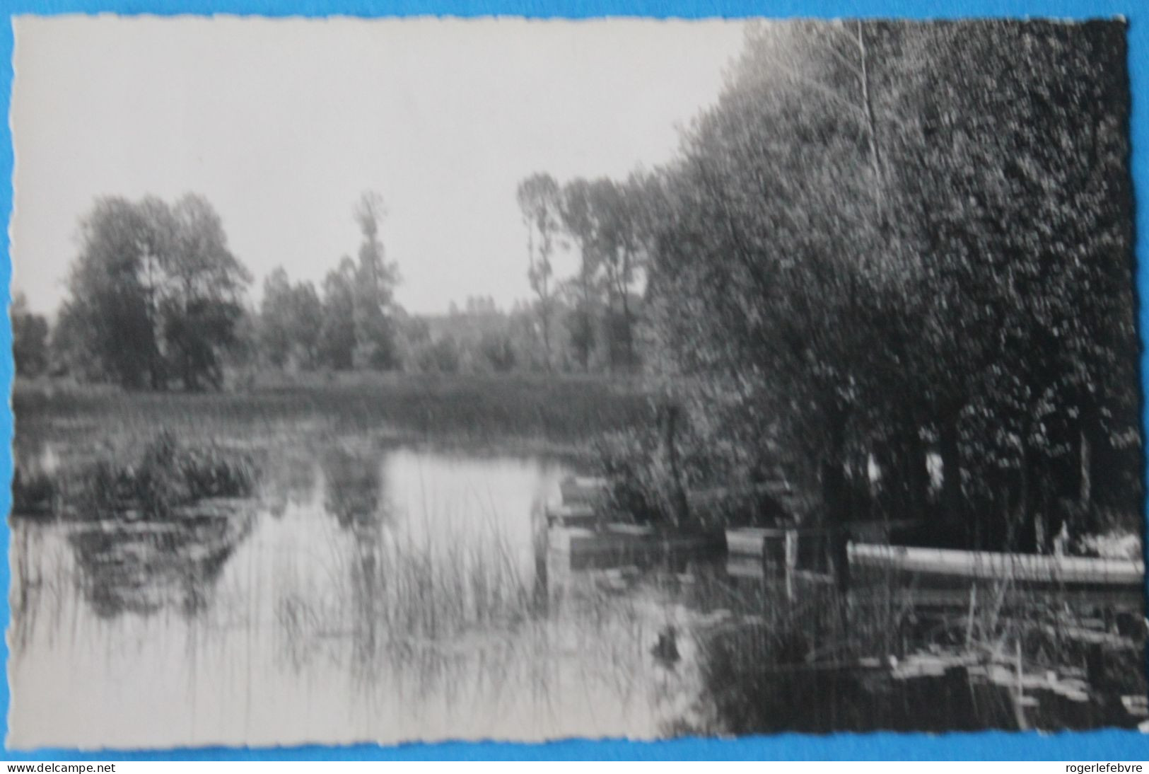 4 Cpa D Ailly Sur Somme (carte Photo) - Ailly Le Haut Clocher