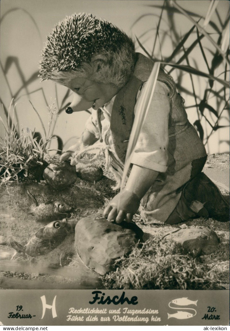 Ansichtskarte  Mecki Im Garten Mit Tierkreiszeichen "Fische" 1961 - Mecki