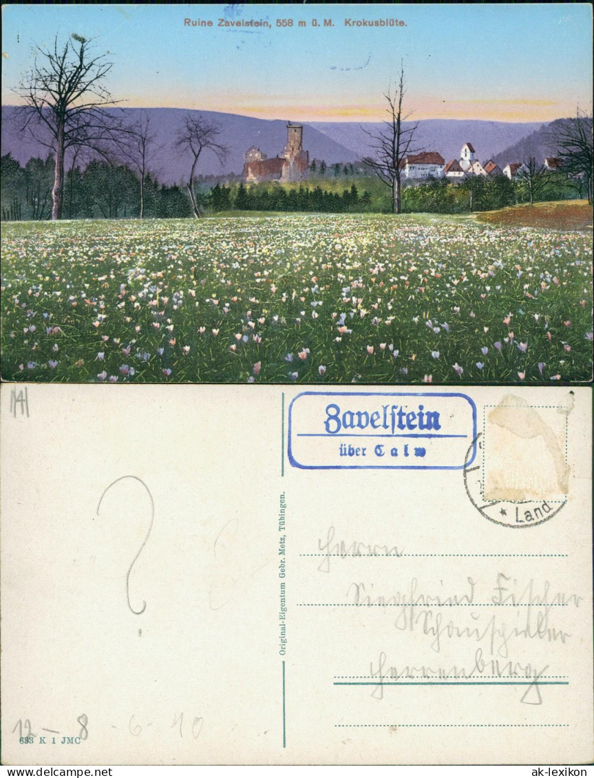Bad Teinach-Zavelstein Ruine   Krokusblüte 1910    Landpoststempel "Z Calw" - Bad Teinach